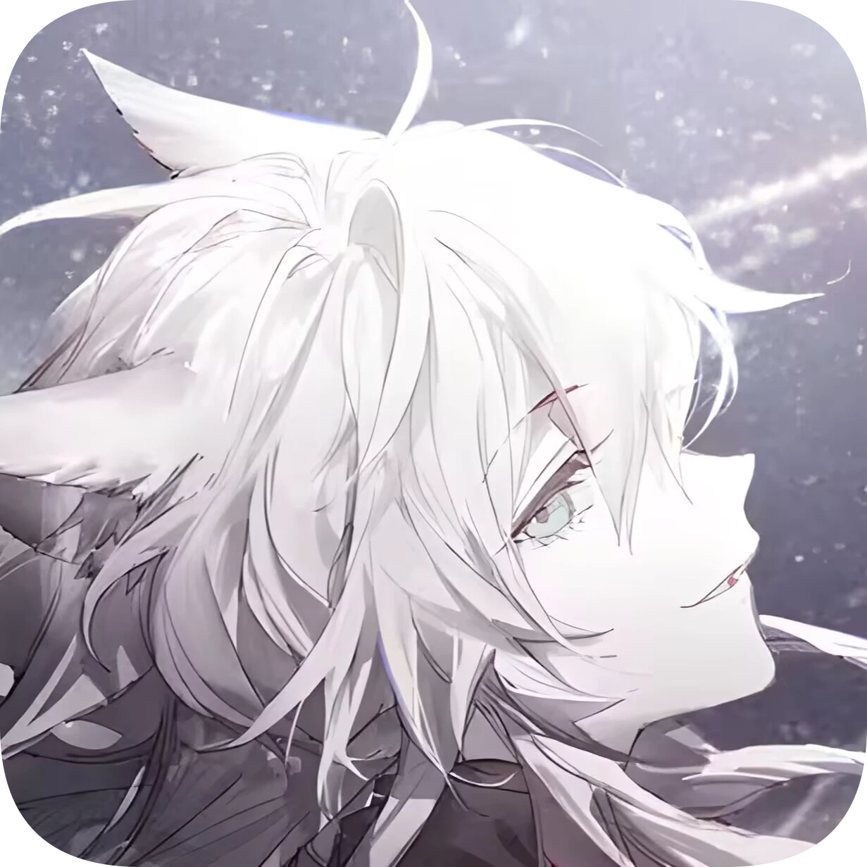Seconviの主页✨