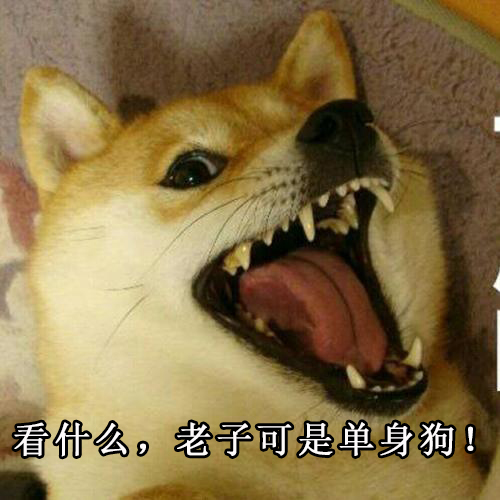 看什么,老子可是单身狗!单身狗表情包