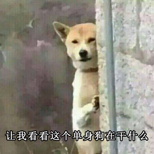 让我看看这个单身狗在干什么_单身狗表情包
