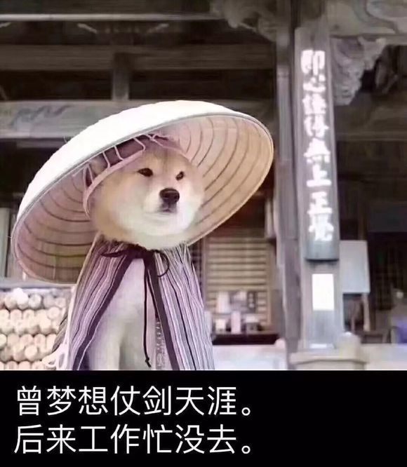 曾梦想仗剑走天涯,后来工作忙没去