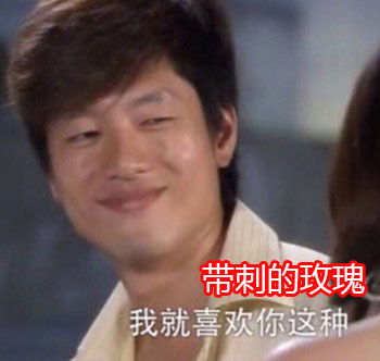 我就喜欢你这种带刺的玫瑰