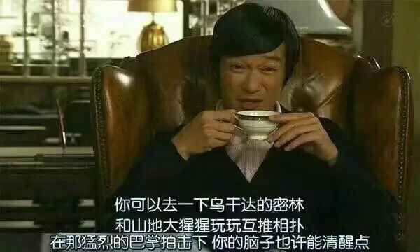 你的脑子也许能清醒点,嘲讽
