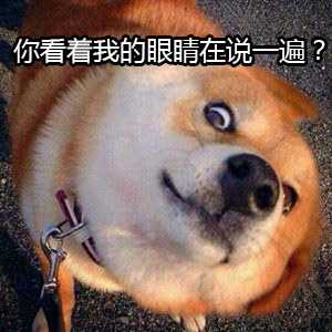 你看着我的眼睛再说一遍,狗子瞪人