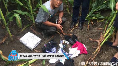 抢劫犯掉粪坑搞笑图片