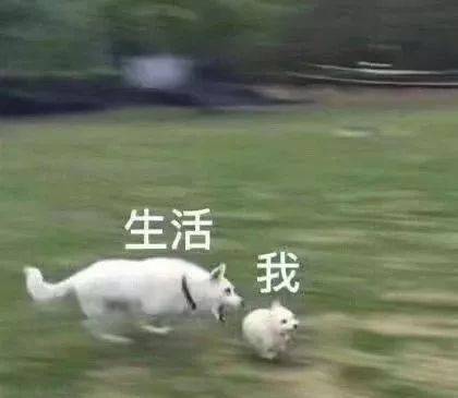 生活和我,生活和我系列