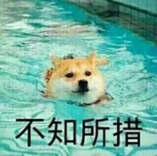 被水淹没不知所措系列
