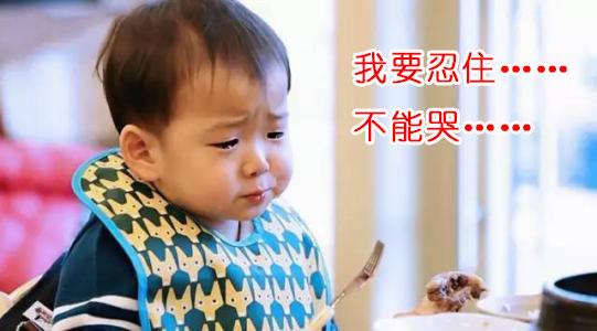 我要忍住,不能哭(宋民国、猫咪、狗子、如懿传)