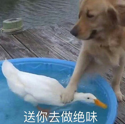 抓鸭子,送你去做绝味(狗子按鸭子)