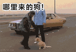 一脚把狗踢飞, 一个人把狗一脚踢下桥