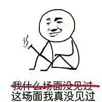 我什么场面没见过(这场面我真没见过)表情包