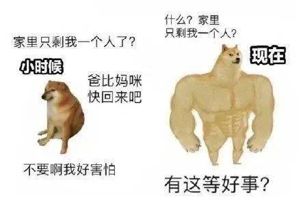 肌肉狗VS小废狗表情包_狗子对比