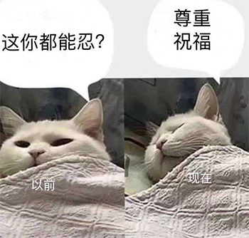 尊重祝福(猫咪版)