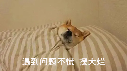 摆烂表情包,摆大烂