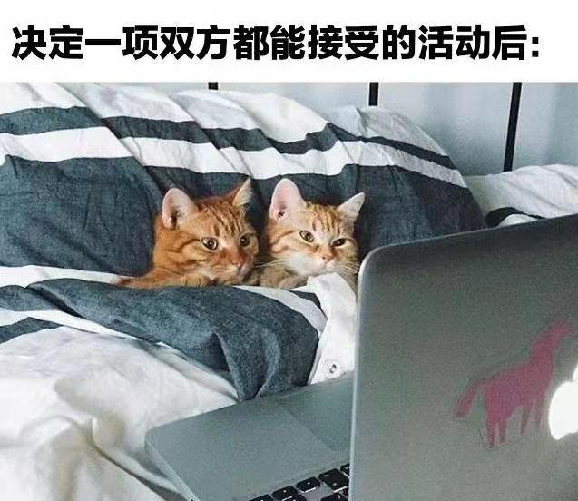 决定一项双方都能接受的活动后:躺被窝看电视