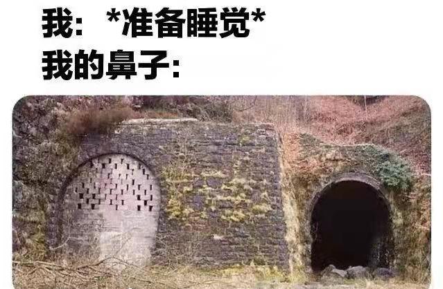 当我准备睡觉时我的鼻子(一个堵一个通)