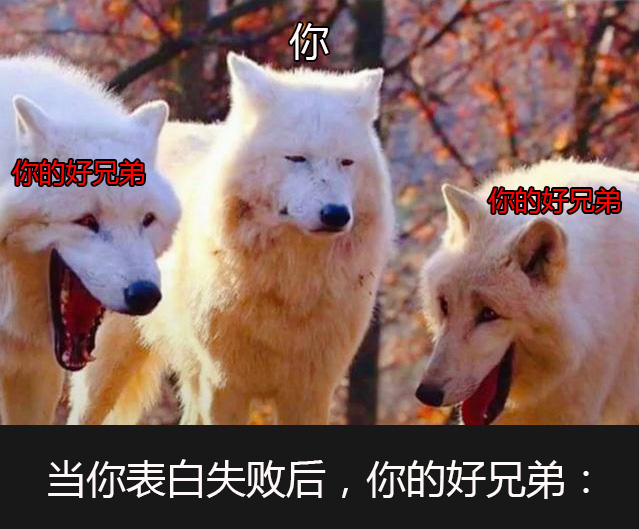 当你表白失败后,你的好兄弟(三只狐狸搞笑图)