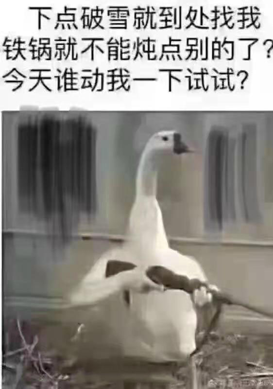 铁锅炖大鹅表情包:下点破雪就到处找我,铁锅就不能炖点别的了?