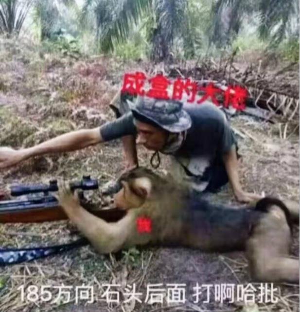游戏中“落地成盒”的大佬是如何指挥游戏的