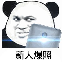 新人爆照表情包_进群爆照(回复)