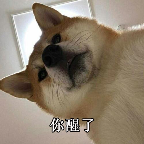 你醒了(狗子版)表情包