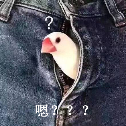 小鸟头从裤裆里伸出来表情包,嗯???