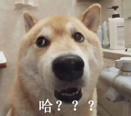 哈???表情包