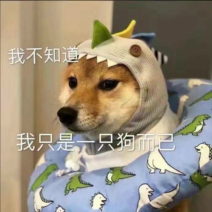 我不知道,我只是一只狗而已表情包