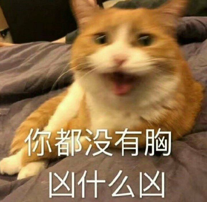 你都没有胸,凶什么凶?(猫咪)