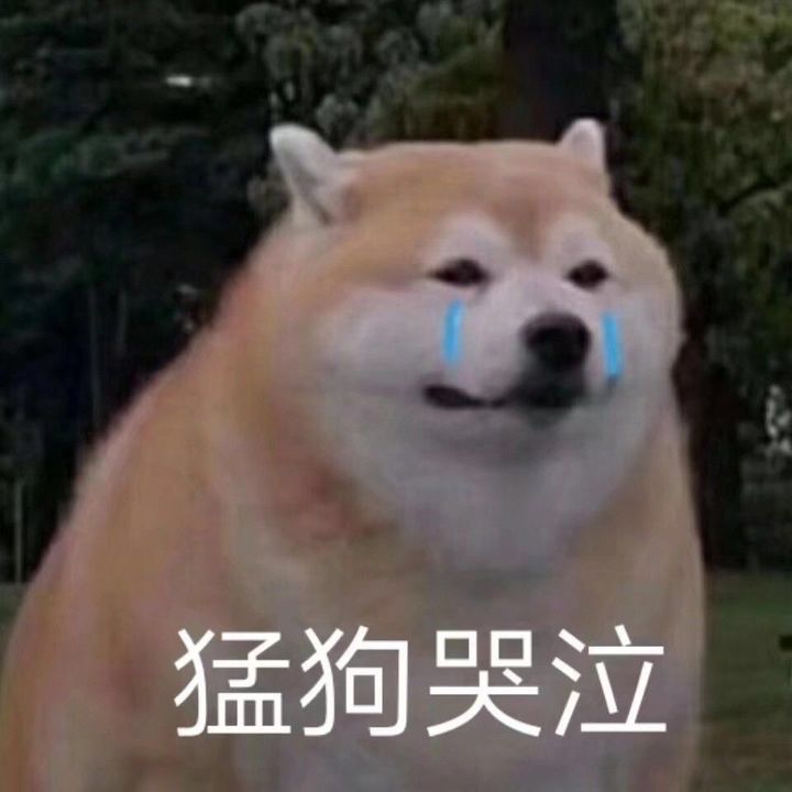 柴犬(肥)哭泣,猛狗哭泣表情包