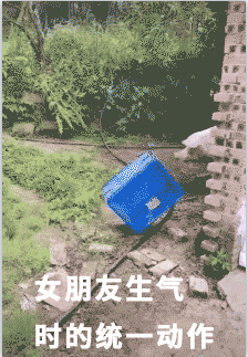 女朋友生气时的统一动作(猪供篮子版)