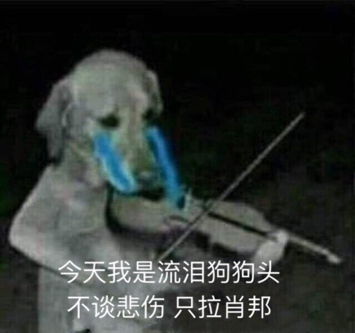 狗子拉小提琴:今天我是流泪狗狗头 不谈悲伤,只拉肖邦