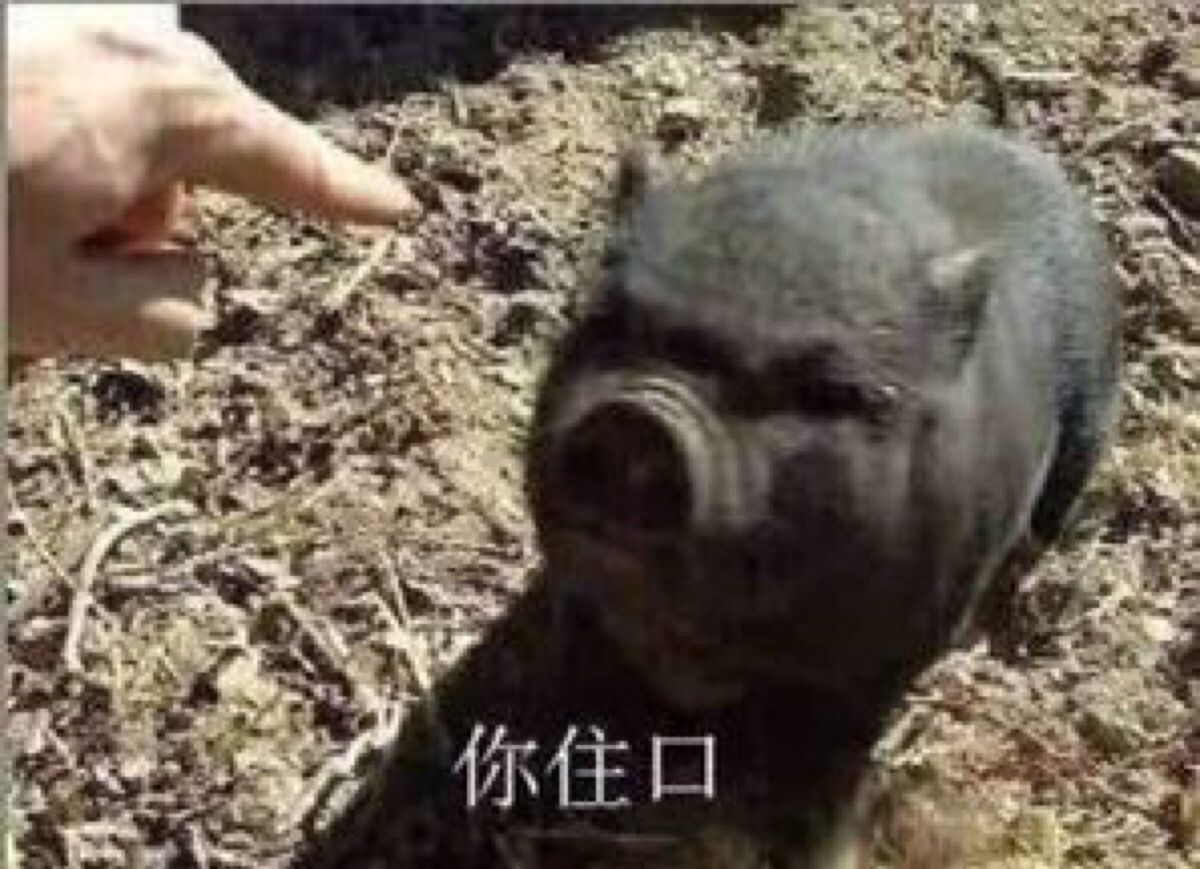 指着小黑猪说:你住口