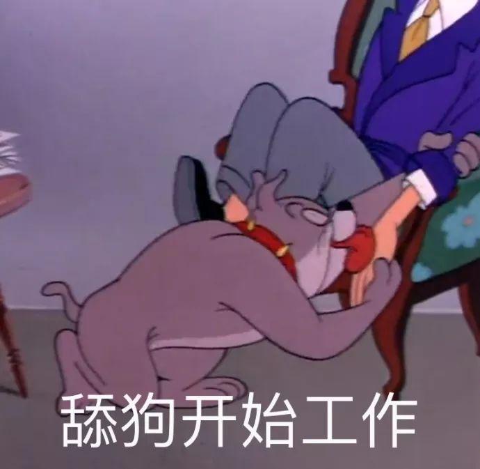 舔狗开始工作