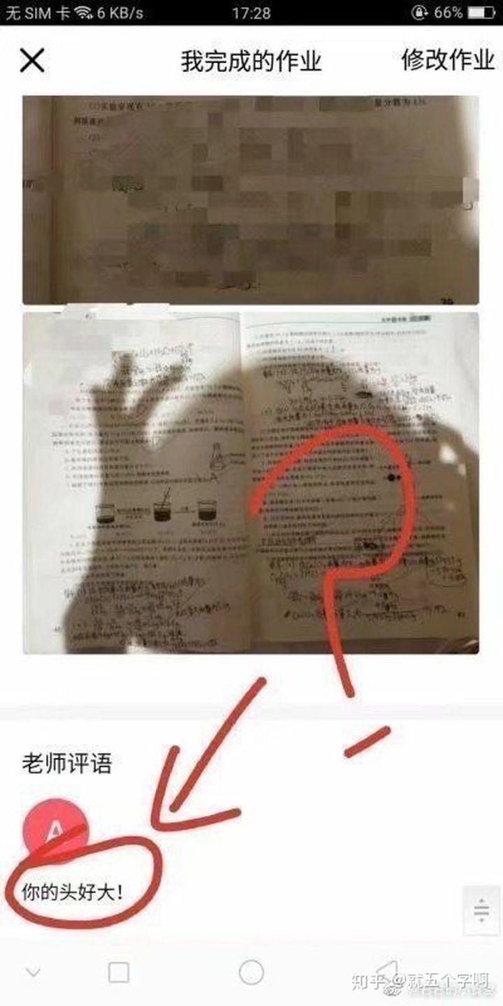 我完成的作业,老师批复:你的头好大