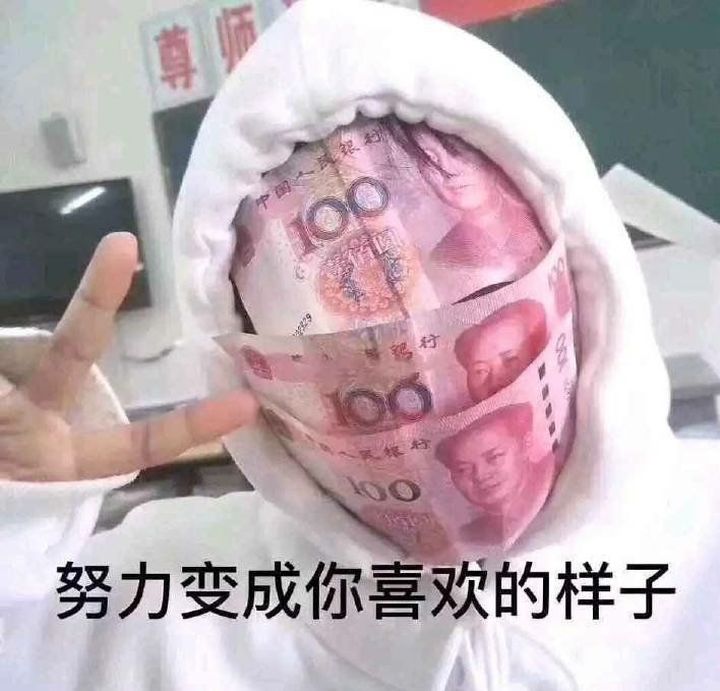 努力变成你喜欢的样子(脸上全是钱)