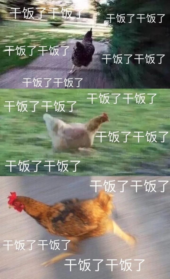 干饭了表情包(公鸡奔跑-干饭了)