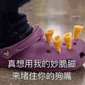 真想用我的妙脆脚来堵住你的狗嘴