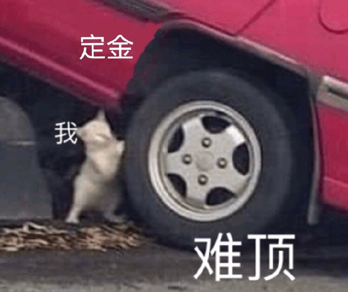 定金一看表情包_定金与尾款系列