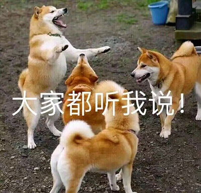 狗子:大家都听我说!