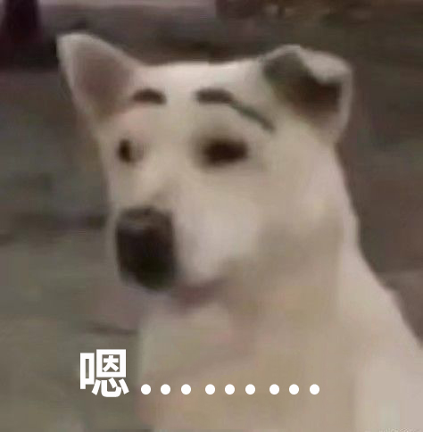 嗯……狗子画眉