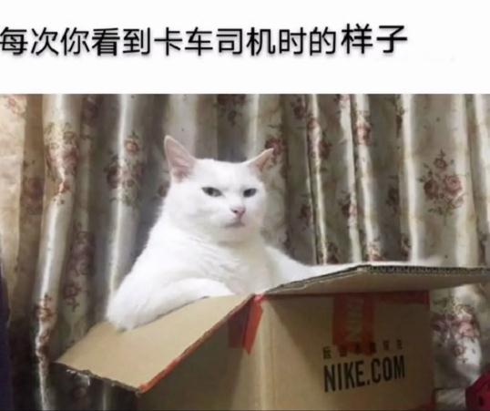 每次你看到卡车司机时的样子