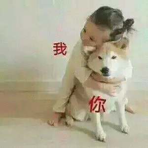 我抱着你(狗子)