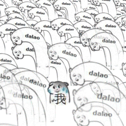 走在大佬人群中的我