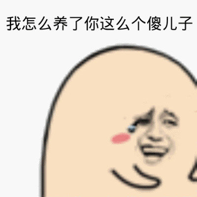 我怎么养了你这么个傻儿子
