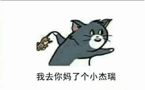 我去你妈了个小杰瑞(老汤姆)-猫和老鼠怼人系列