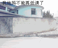 杀马特变身迪迦奥特曼动图-我他妈不能再低调了
