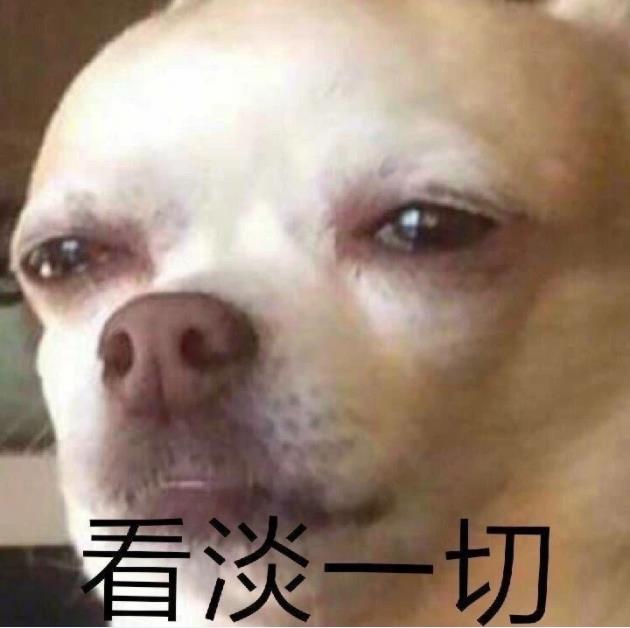 狗子看淡一切