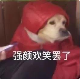 狗子:强颜欢笑罢了