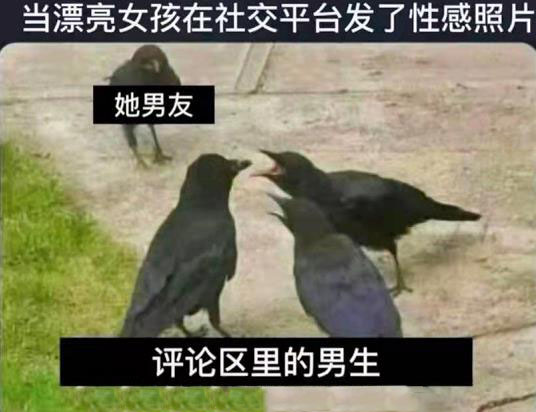 当漂亮女孩在社交平台发了性感照片(评论区的男生VS他男友)