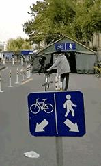 这才是真的人车分流!